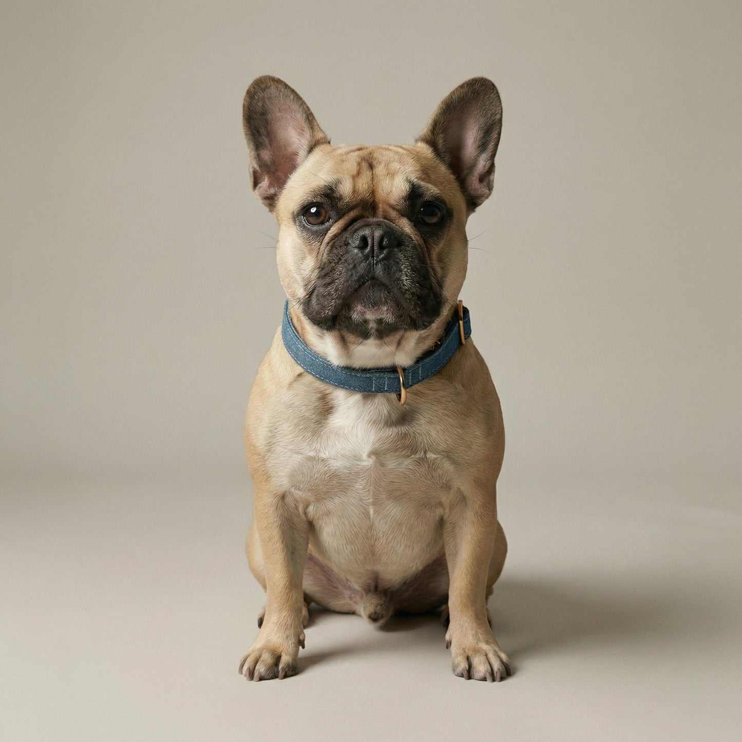 Denim Collar